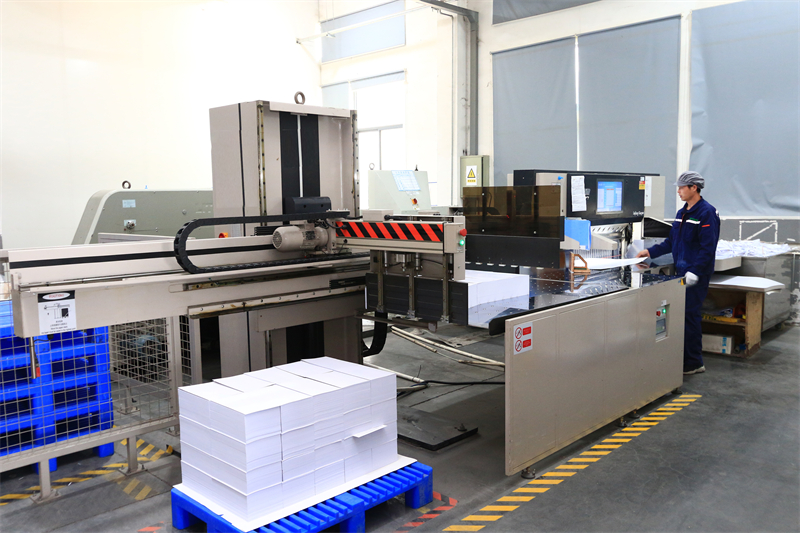 生產設備  自動下紙切紙機 - 副本.JPG